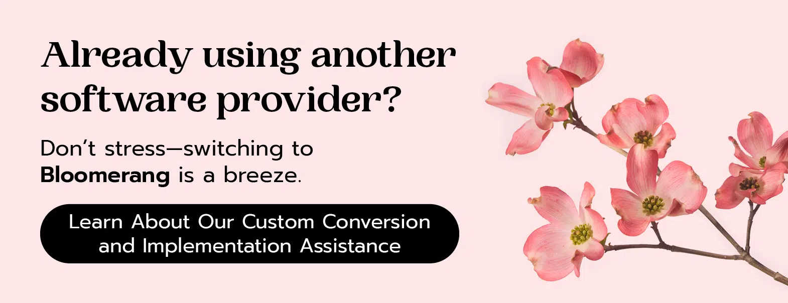 Switching to Bloomerang is a breeze. Learn About Our Custom Conversion and Implementation Assistance.