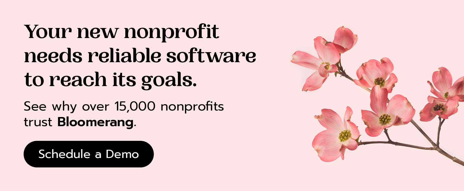 New nonprofits need reliable software tools to maximize their reach. See why over 15,000 nonprofits trust Bloomerang. Schedule a demo here.