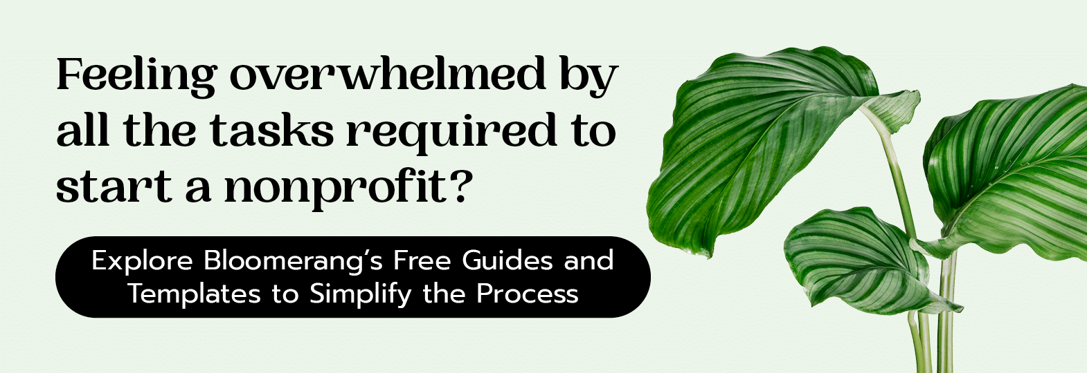 Click here to explore Bloomerang’s Free Guides and Templates to simplify the nonprofit startup process. 