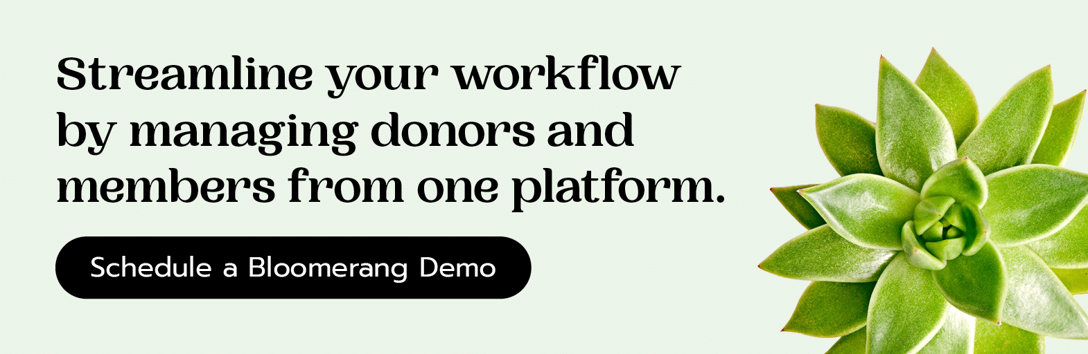 Streamline workflows by managing donors and members from one platform. Schedule a Bloomerang Demo here.