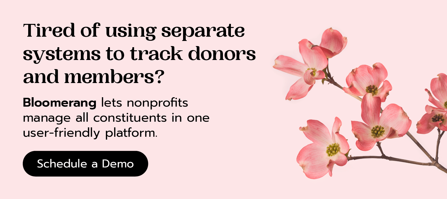 Tired of using separate systems to track donors and members? Bloomerang lets nonprofits manage all constituents in one user-friendly platform. Schedule a demo here. 