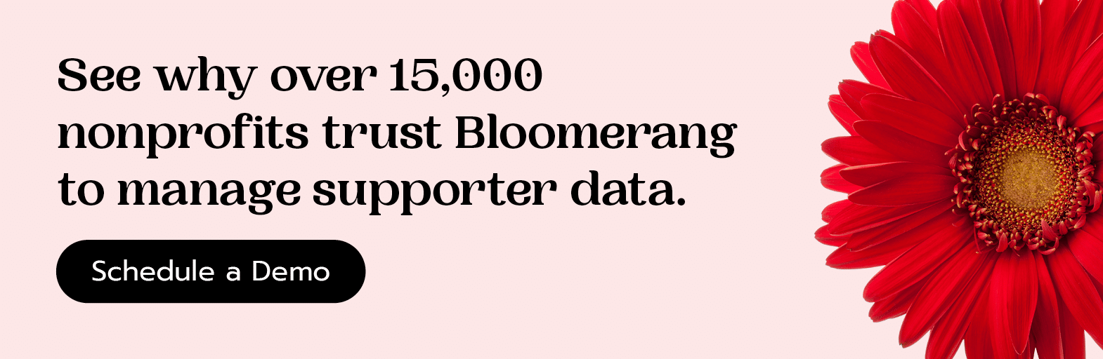 Try the nonprofit software trusted by over 15,000 organizations. Schedule a Bloomerang Demo. 