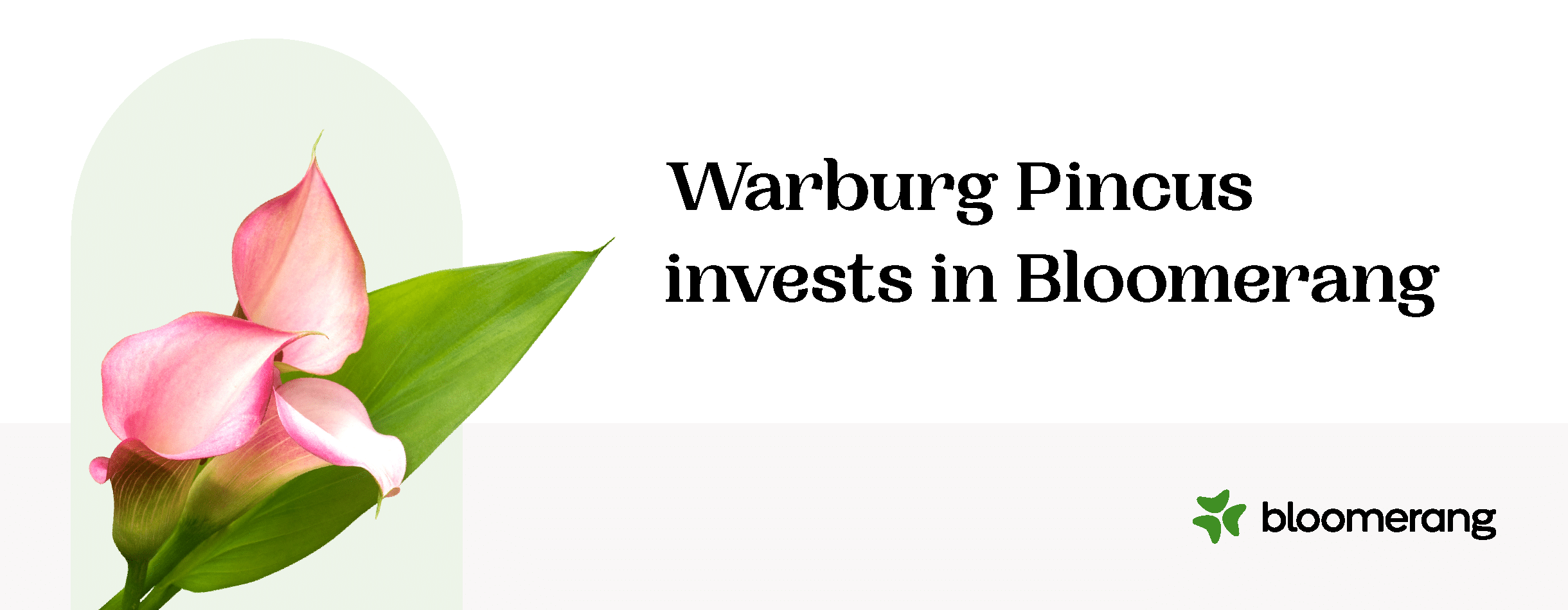Bloomerang secures strategic investment from Warburg Pincus
