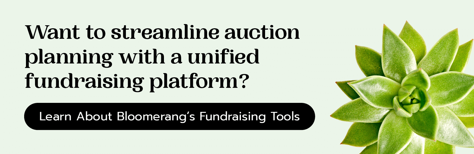 Want to streamline auction planning with a unified fundraising platform? Learn about Bloomerang’s fundraising tools. 