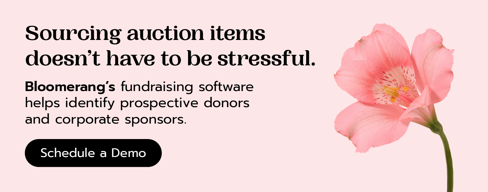 Bloomerang’s fundraising software helps identify prospective donors and corporate sponsors. Schedule a demo.