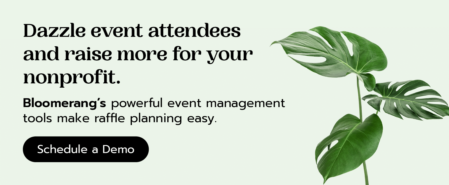 Dazzle event attendees and raise more for your nonprofit. Bloomerang’s powerful event management tools make raffle planning easy. Schedule a demo.
