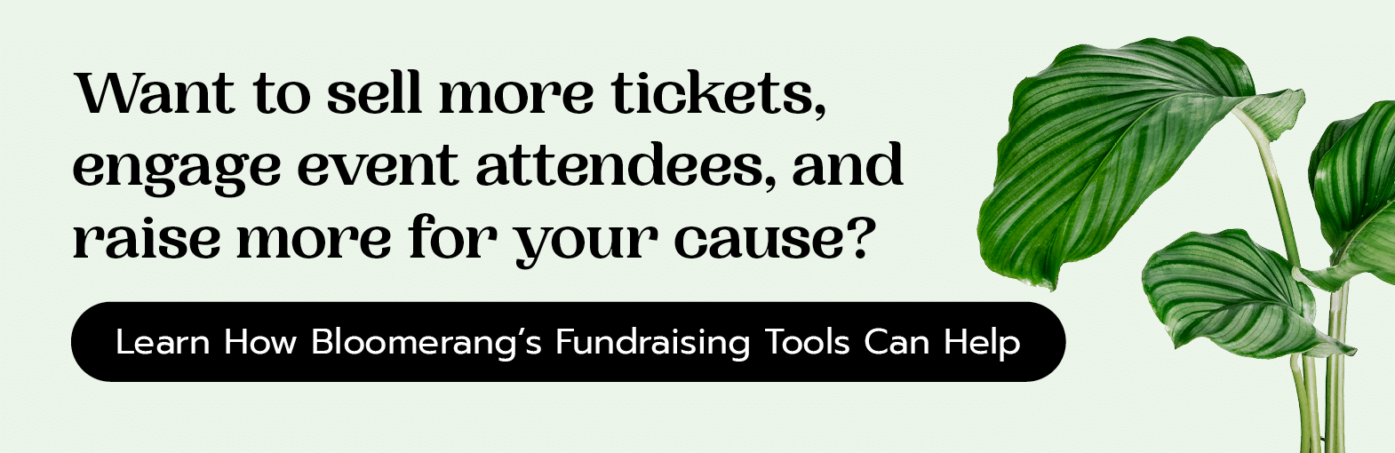 Want to sell more tickets, engage event attendees, and raise more for your cause? Find out how Bloomerang’s fundraising tools can help.