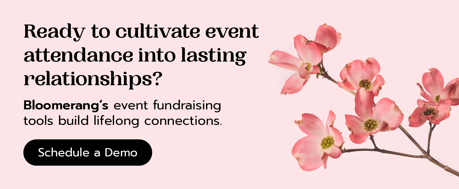 Ready to cultivate event attendance into lasting relationships? Bloomerang’s event fundraising tools build lifelong connections. Schedule a Demo here. 