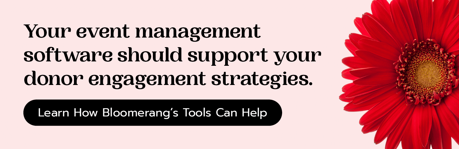 Your event management software should support your donor engagement strategies. Learn how Bloomerang’s tools can help.