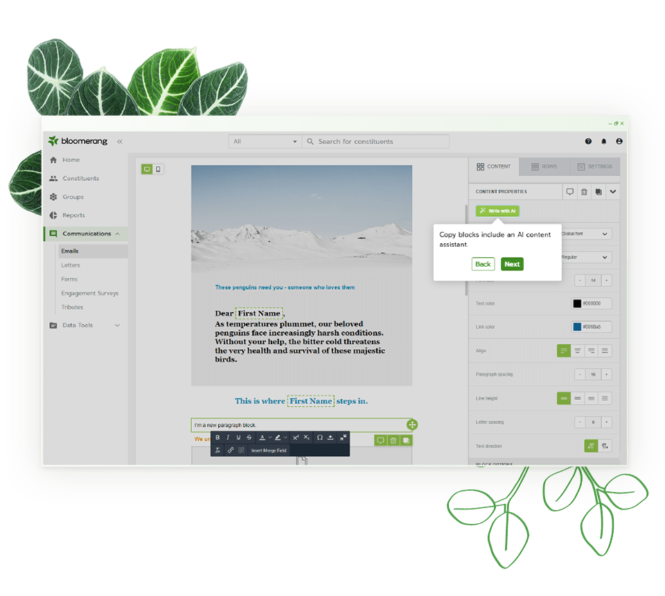 Bloomerang Email Builder UI