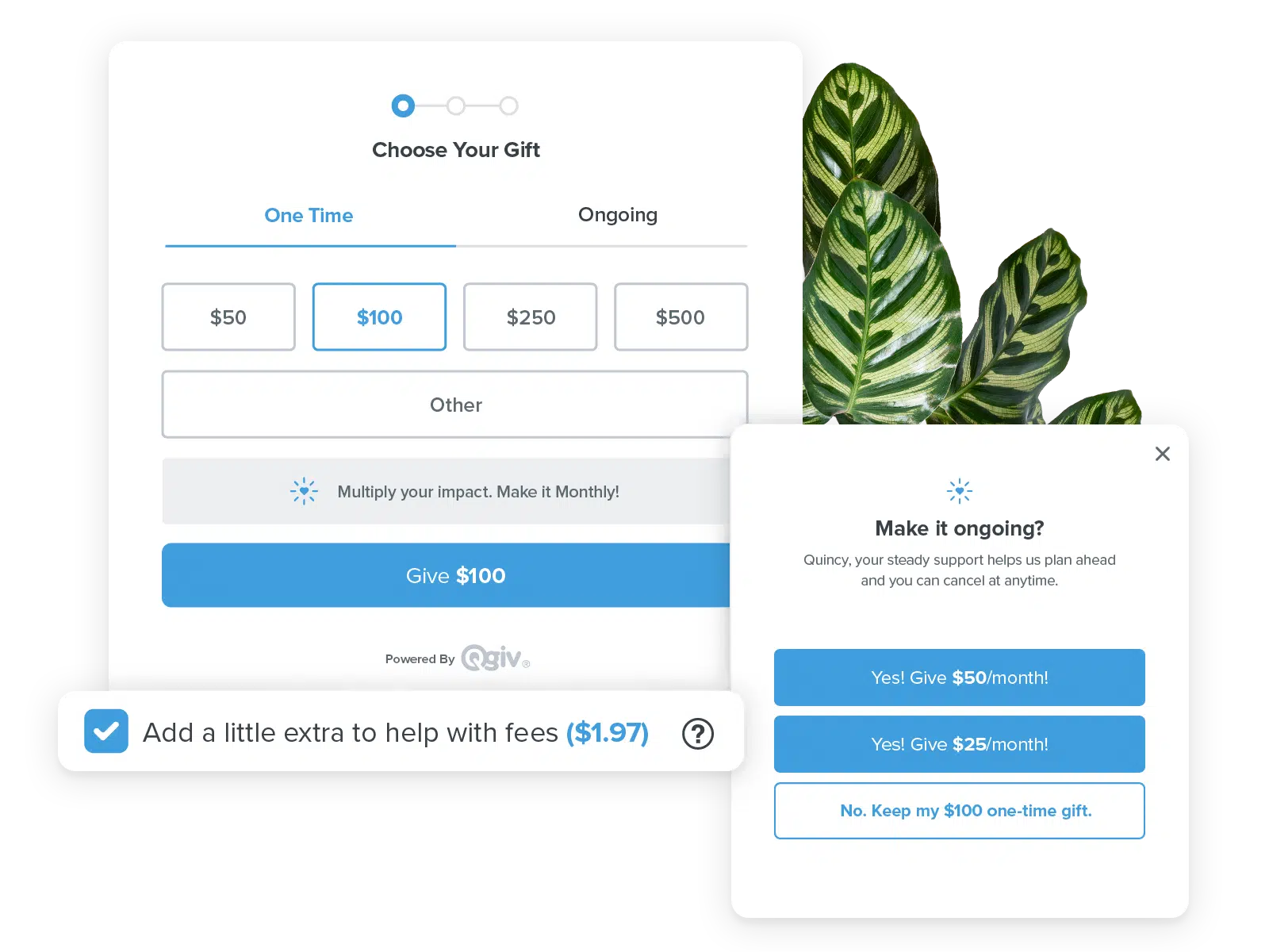 Fundraising Donation Forms from Bloomerang