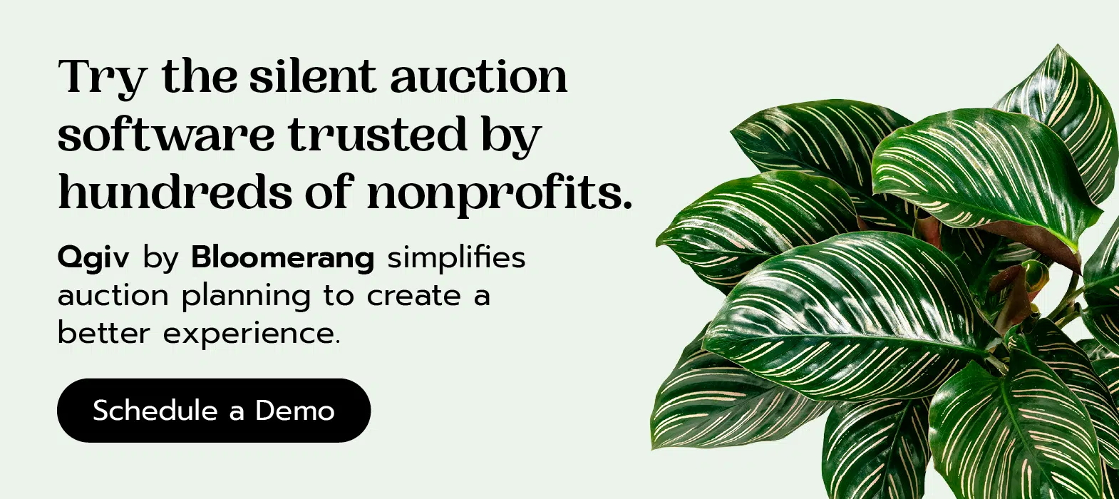 Try the silent auction software trusted by hundreds of nonprofits. Qgiv by Bloomerang simplifies auction planning to create a better experience. Click here to schedule a demo today.