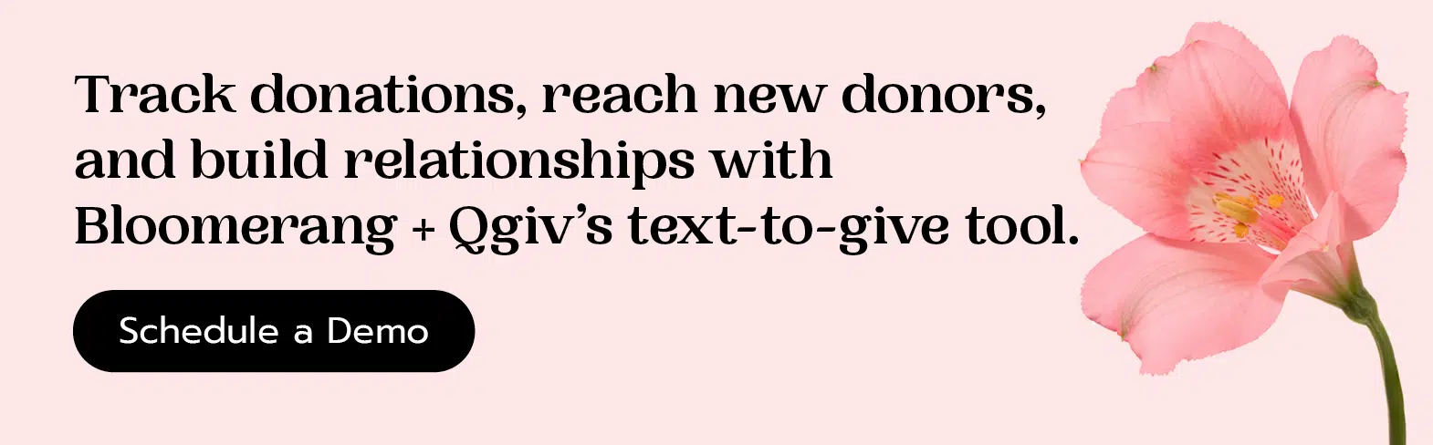 Track donations, reach new donors, and build relationships with Bloomerang + Qgiv's text-to-give tool. Click here to schedule a demo. 