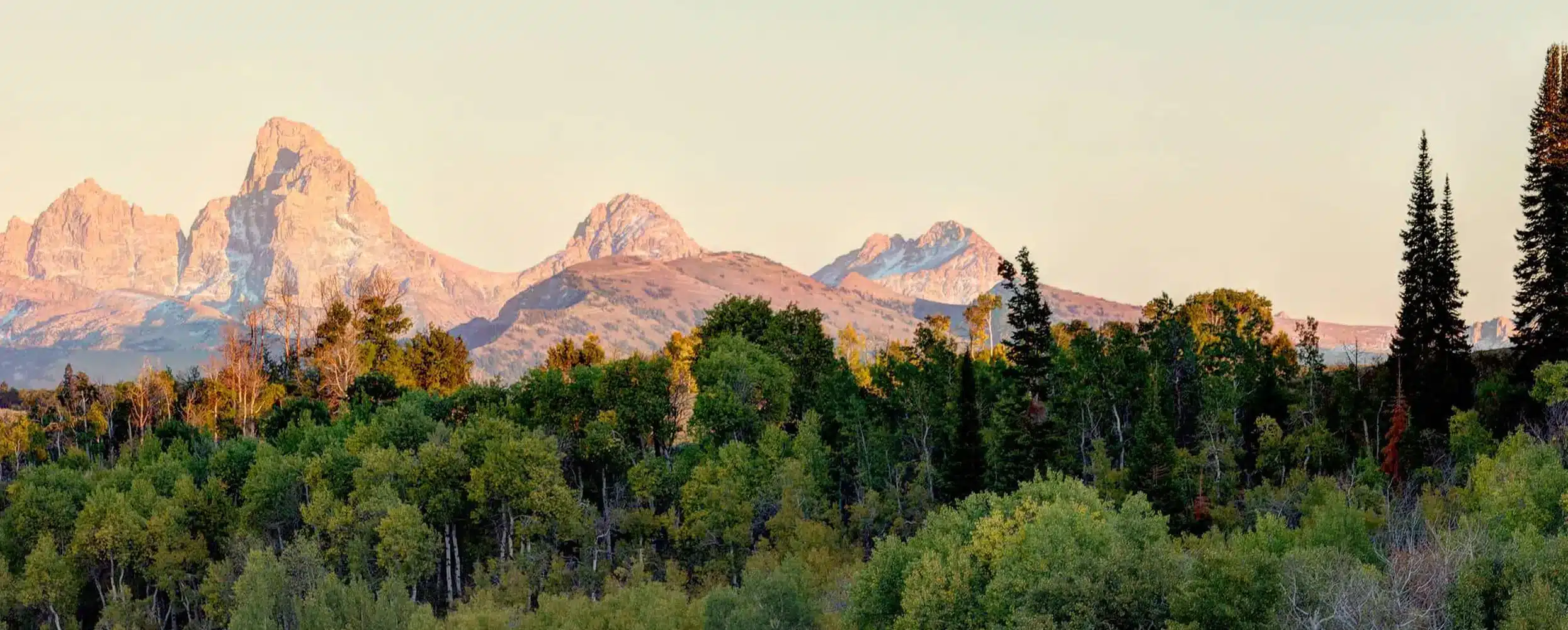 Mental Health Coalition of Teton Valley featured image