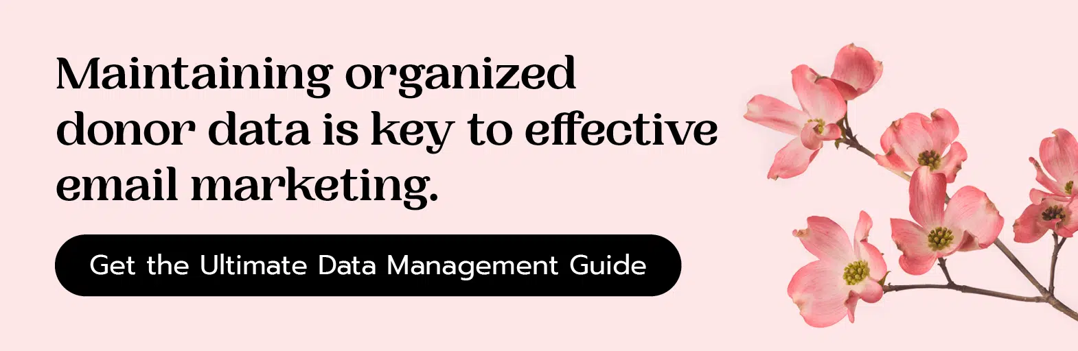 Maintaining organized donor data is key to effective email marketing. Get the ultimate data management guide.