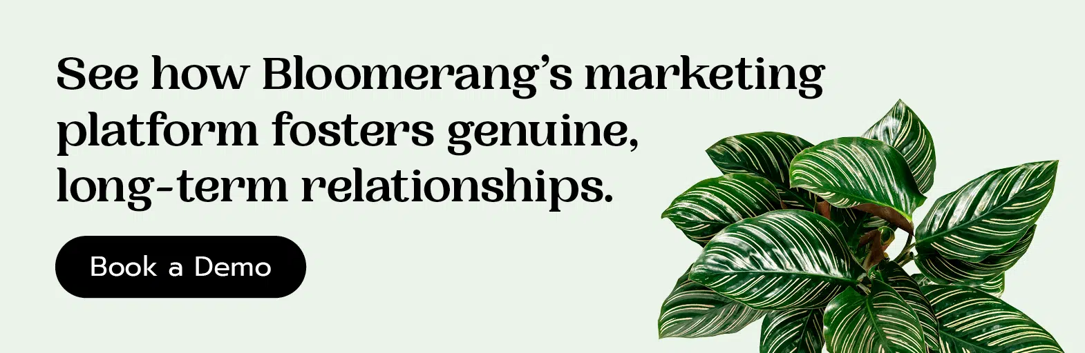 See how Bloomerang’s marketing platform fosters genuine, long-term relationships. Book a demo.