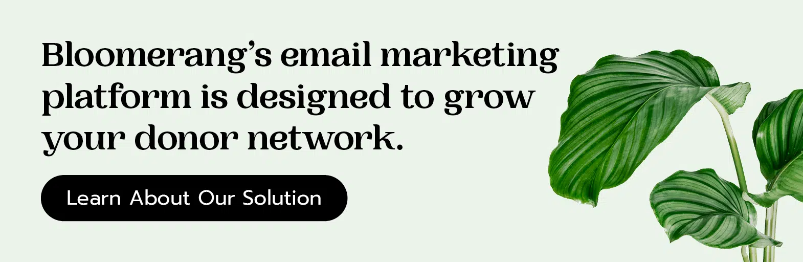 Bloomerang’s email marketing platform is designed to grow your donor network. Learn about our solution.