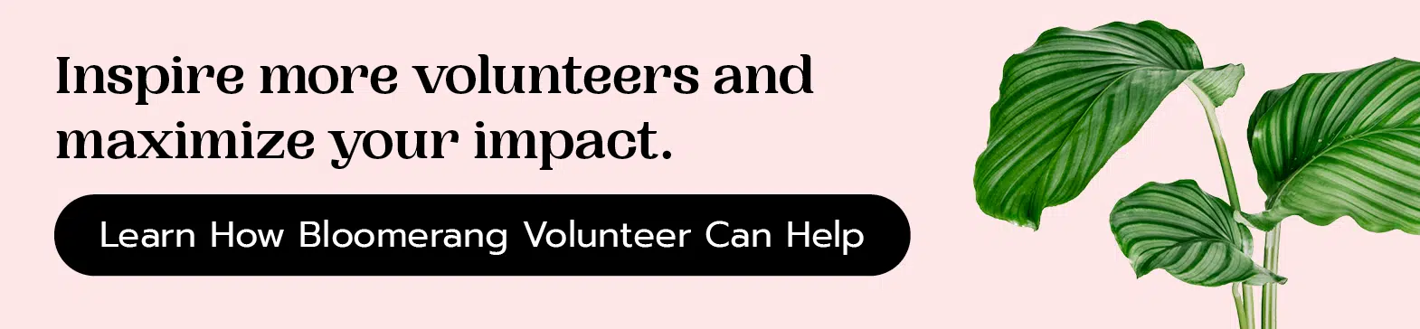 Inspire more volunteers and maximize your impact. Learn how Bloomerang Volunteer can help. 