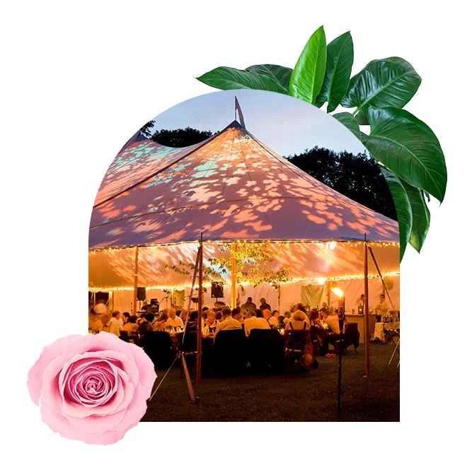 Blomerang event management