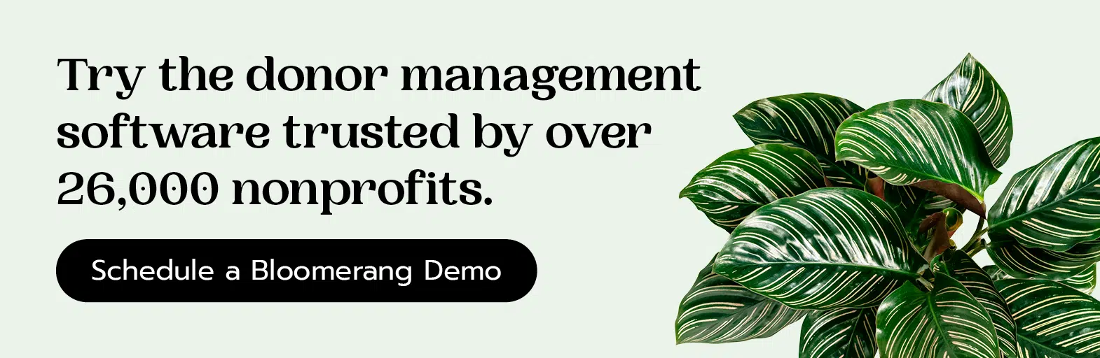 Try the donor management software trusted by over 26,000 nonprofits. Schedule a Bloomerang demo. 