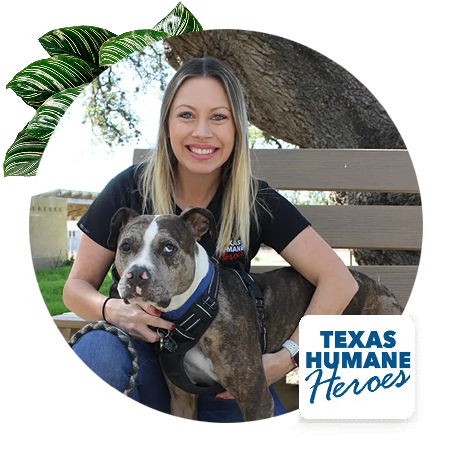 Texas Humane Heroes photo